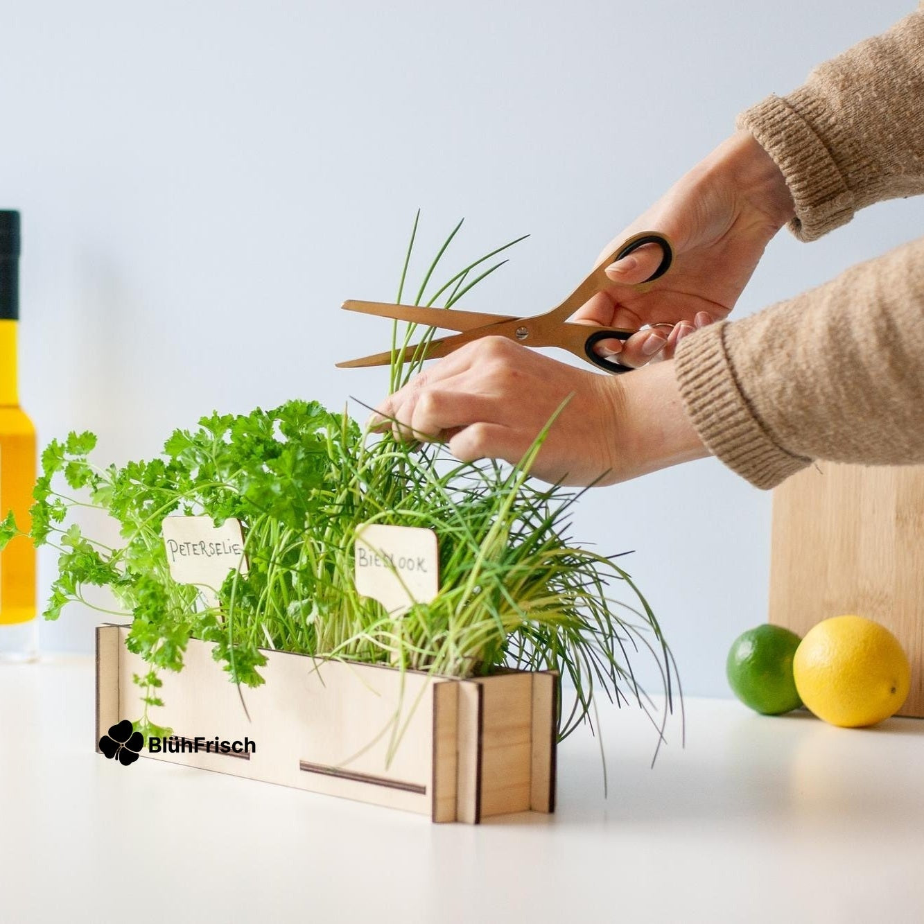 Kräuterpost - Petersiliensamen und Schnittlauchsamen, inkl. Anzuchttablett aus Holz