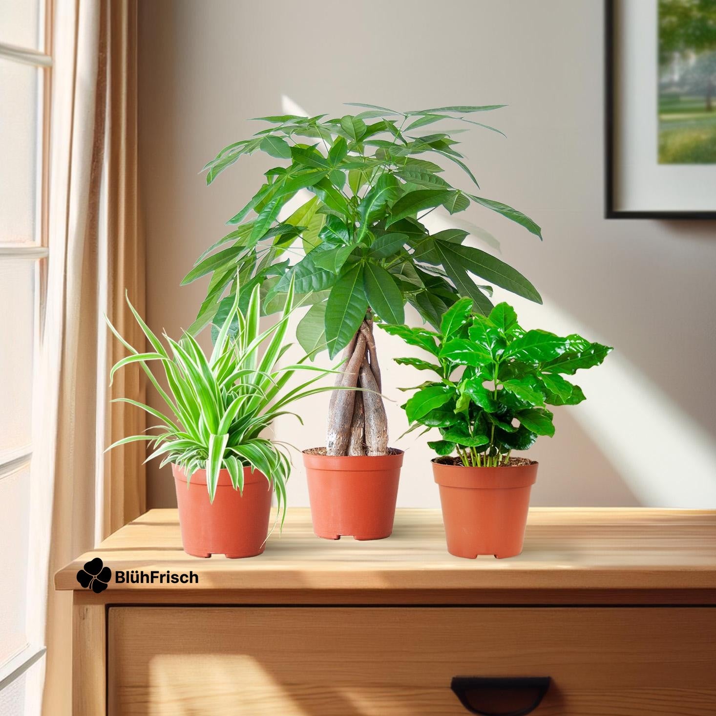 Tierfreundliche Plant Box - klein - ohne Dekotopf - Ø12