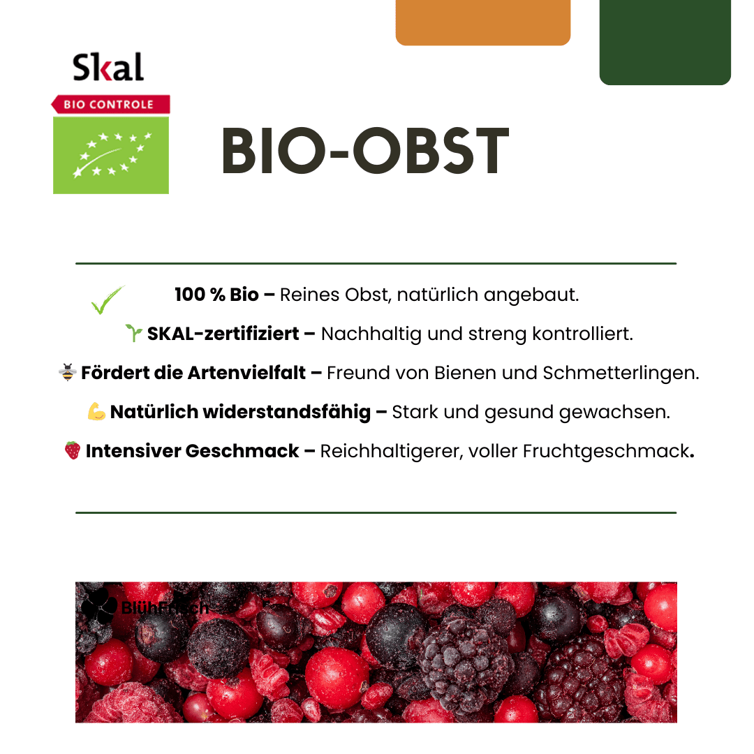 „Sommerfrüchte“ BIO Obstpflanzen-Mix – Set mit 4 verschiedenen Sorten