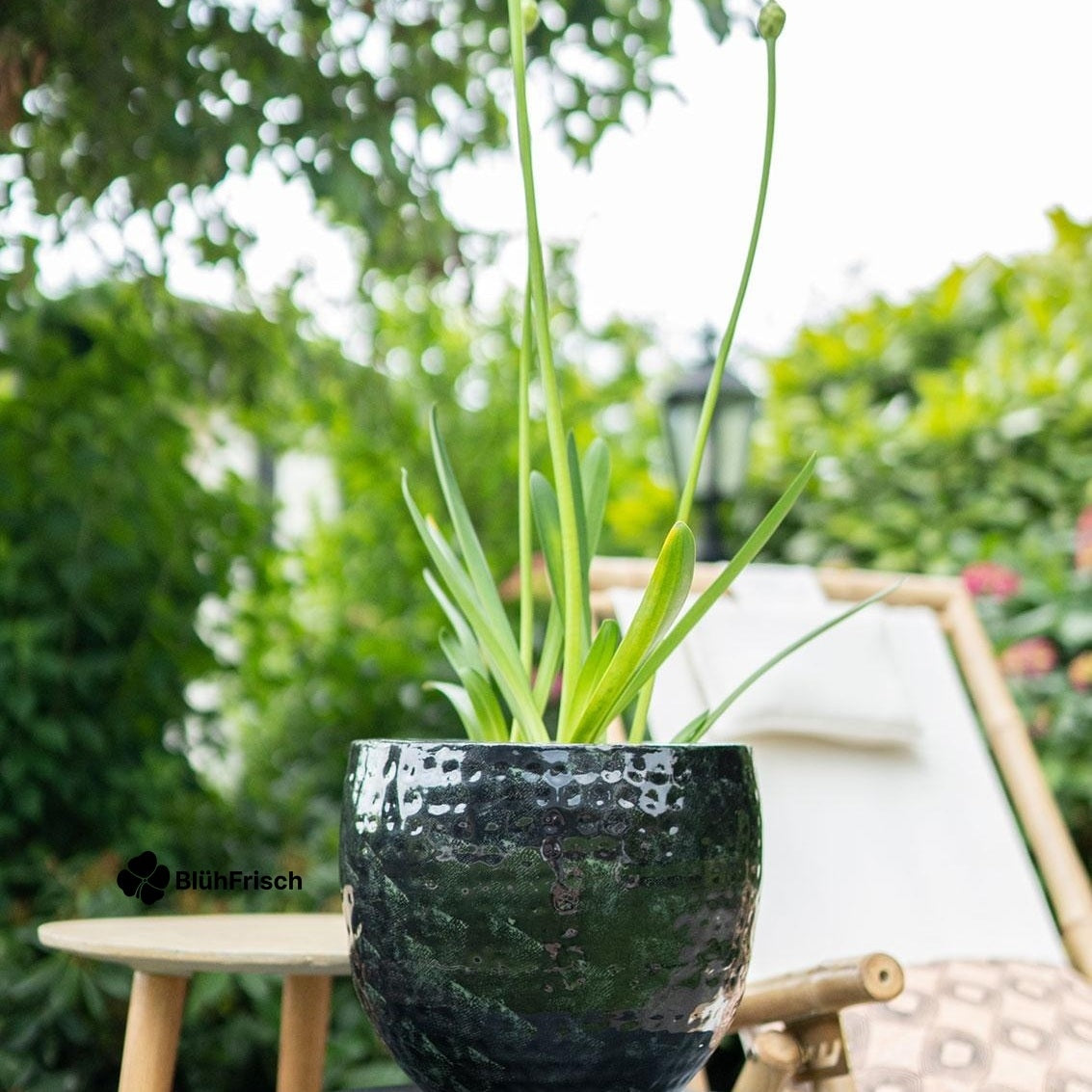 Set von 3 Töpfen - Thom Schwarz Metall - Width