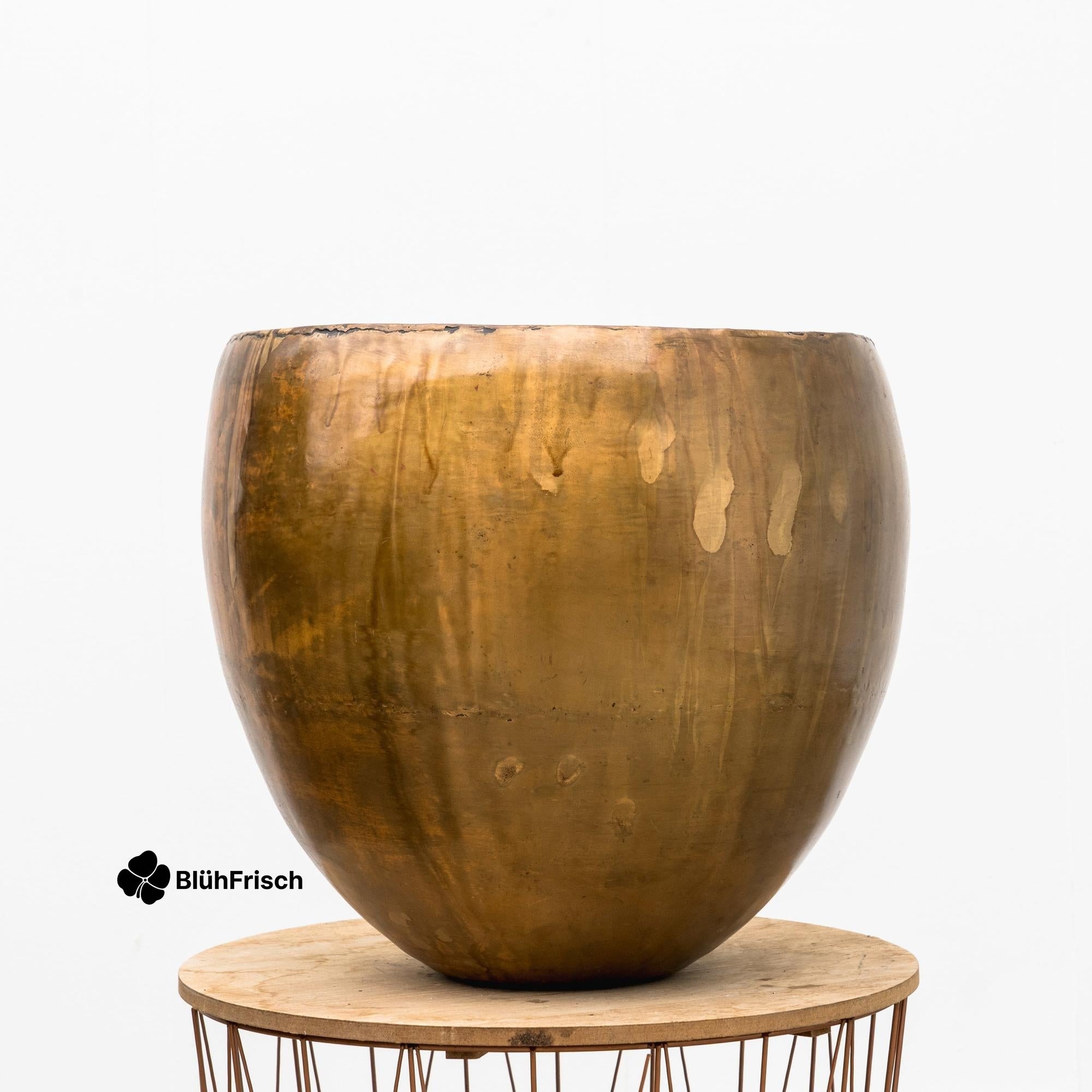 Pot Fabien Old Camel