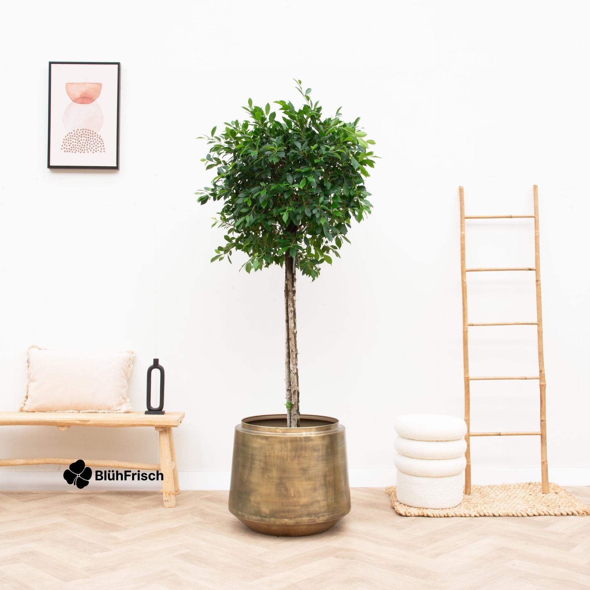 Pot Indigo Vintage Gold - D46 x H41