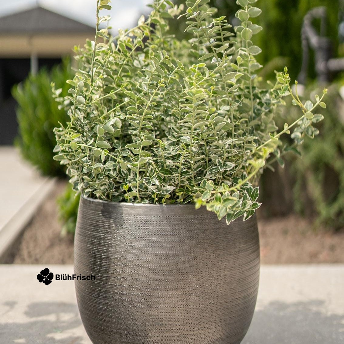 Set 5 Töpfe aluminium Silber