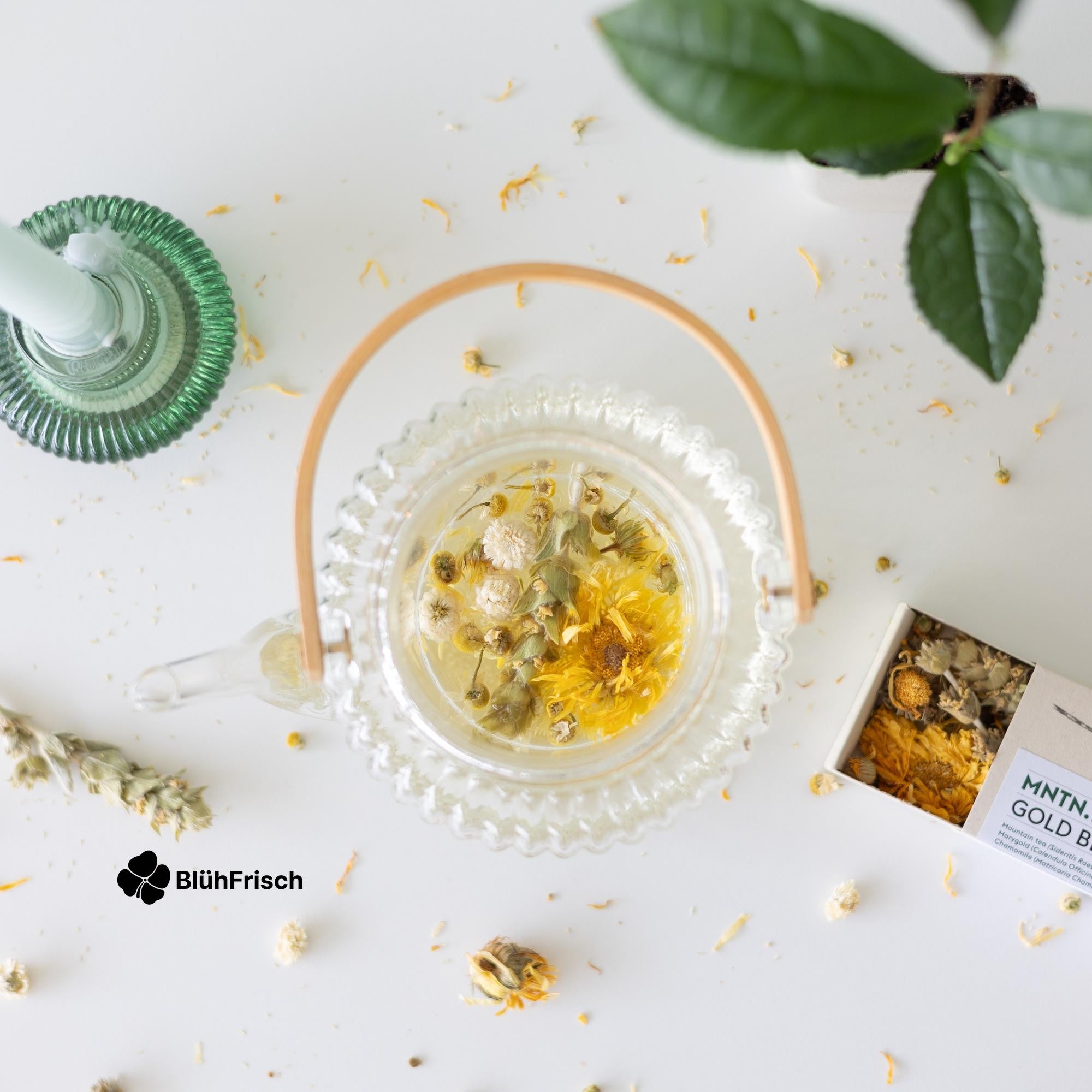 Teepause - Gold Blend Tee und Teebaumschnitt