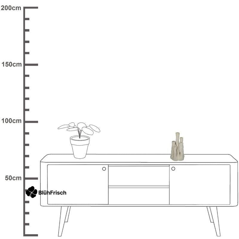 Blumenvase Korall - 18 x 18 x 30cm