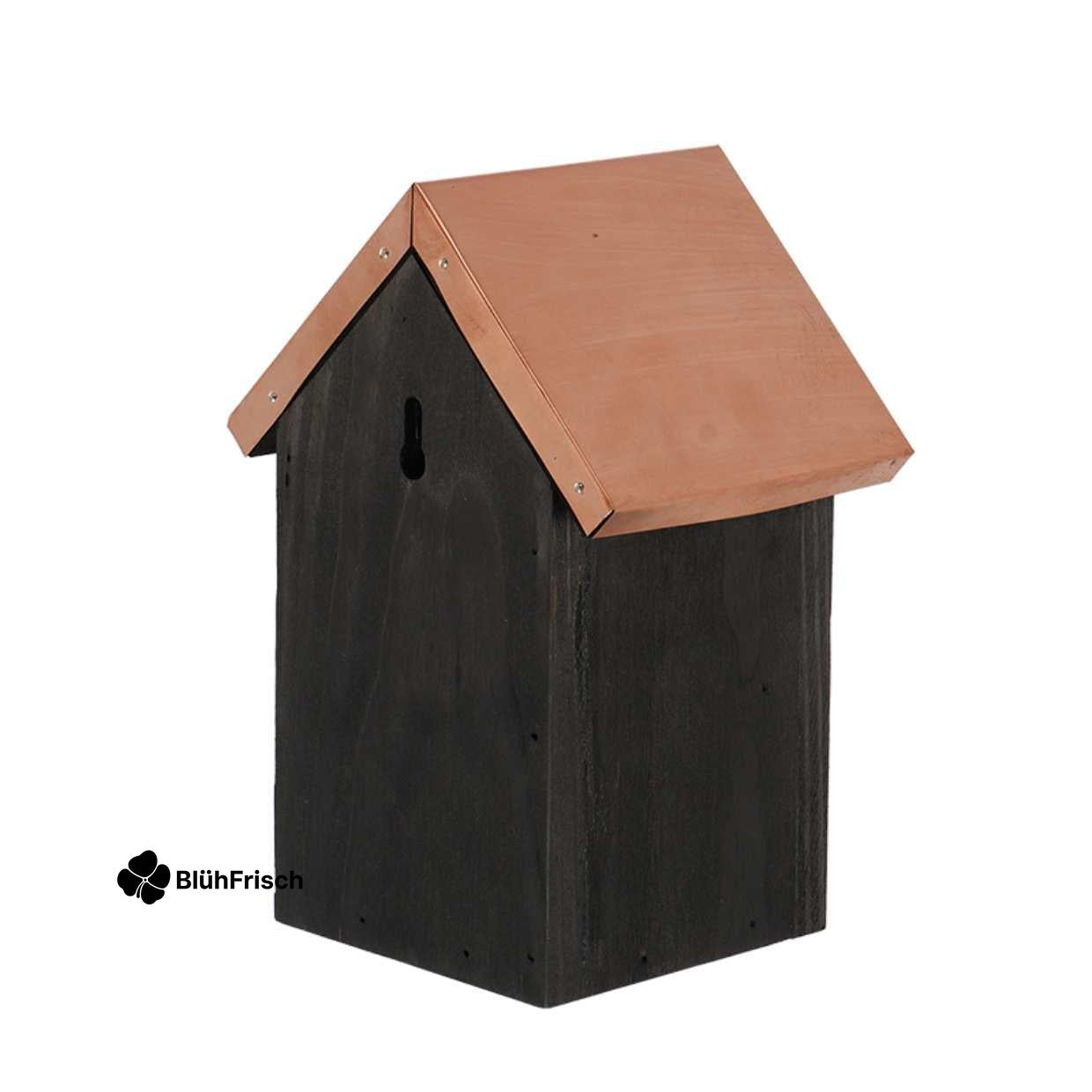 Vogelhuis Winterkoning - Nestkast Zwart koper