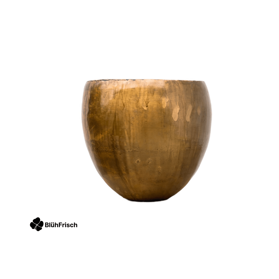 Pot Fabien Old Camel