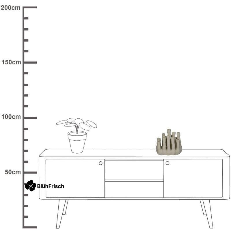 Bloemenhouder XL - Koraal - Ecru - Meertuitenvaas