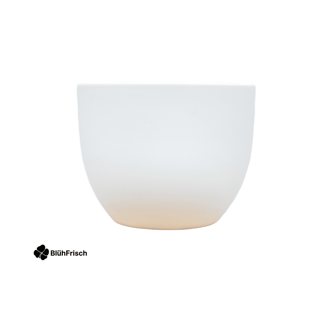 Pot Eggy Wit - D55 x H43