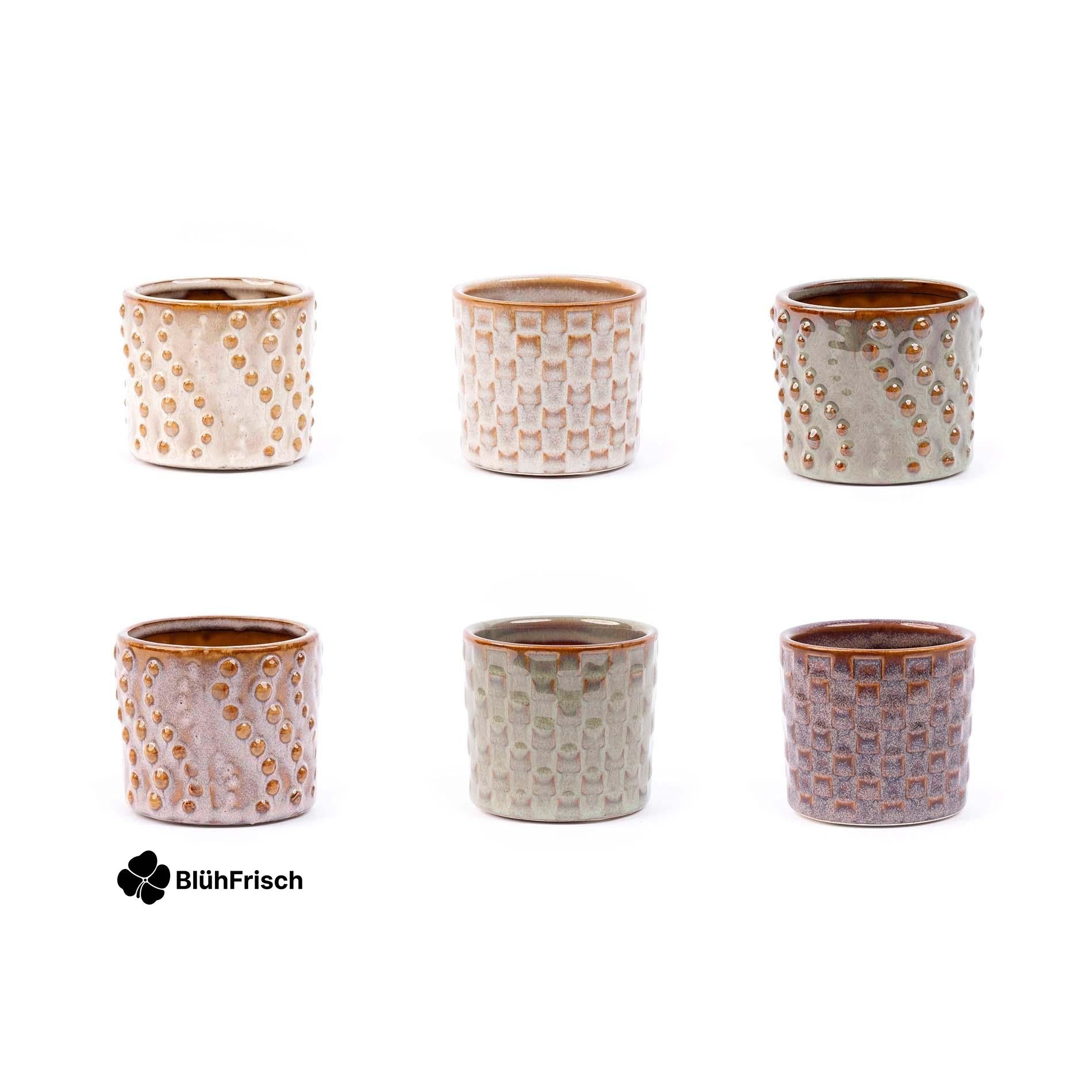 Mini planten set 6 - Inclusief pot set Madrid