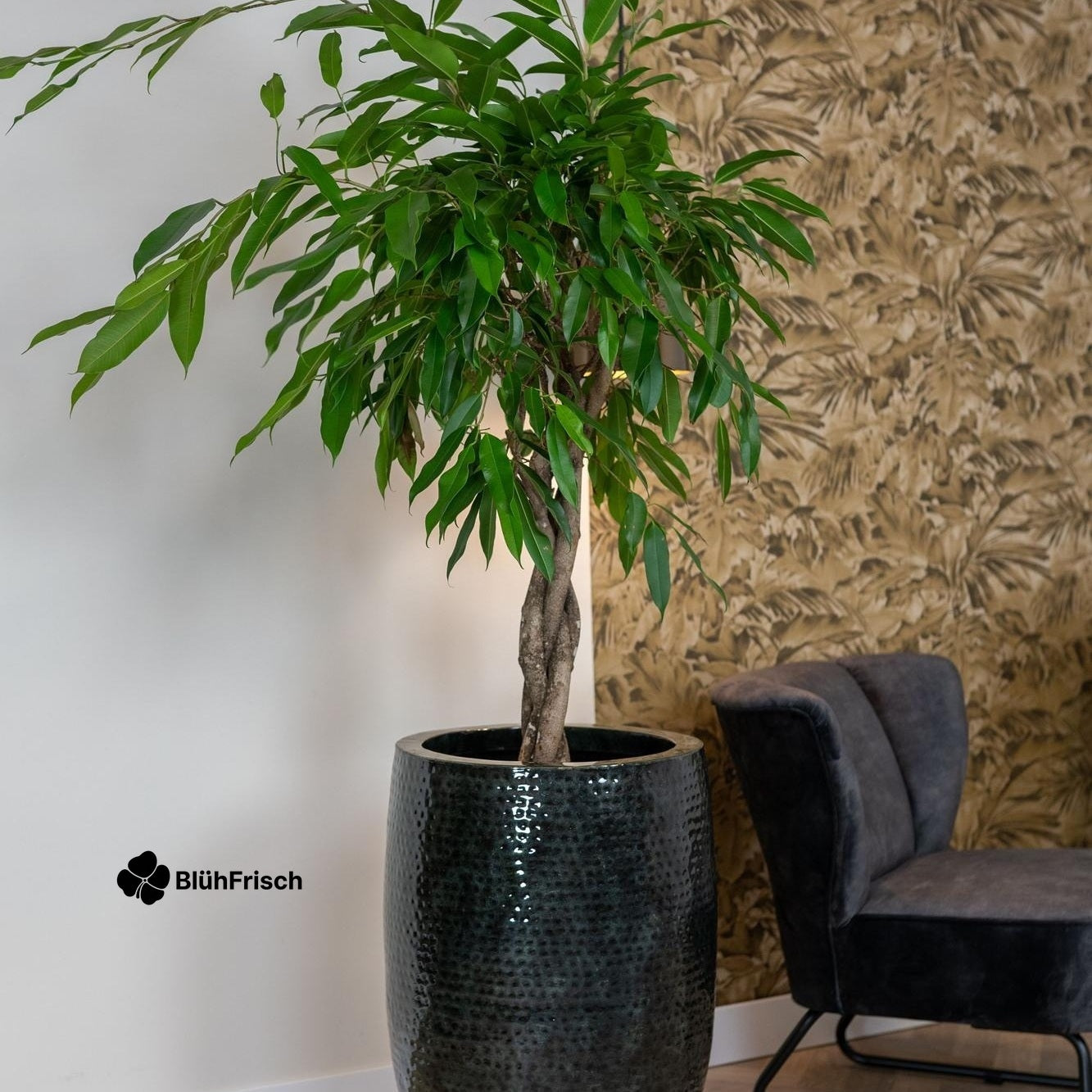 Set von 3 Töpfen - Thom Schwarz Metall - Large