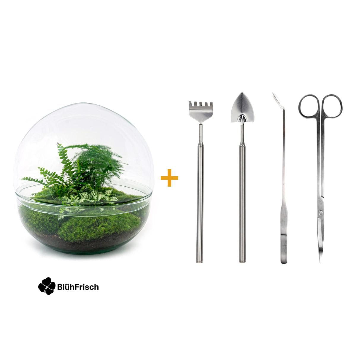Flaschengarten - Dome XL - ↕ 30 cm - Rake + Shovel + Tweezer + Scissors
