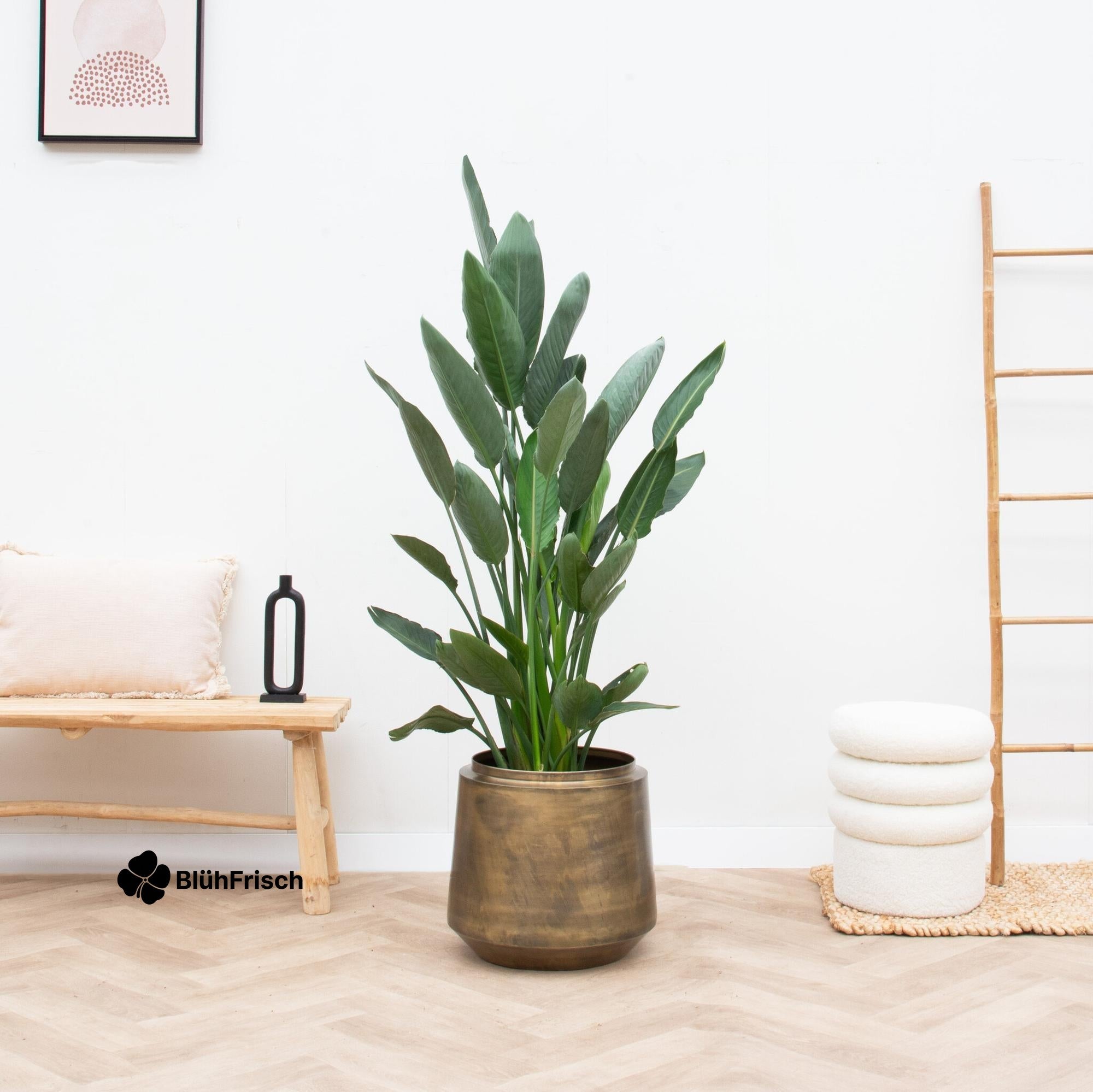 Pot Indigo Vintage Gold D33 x H31