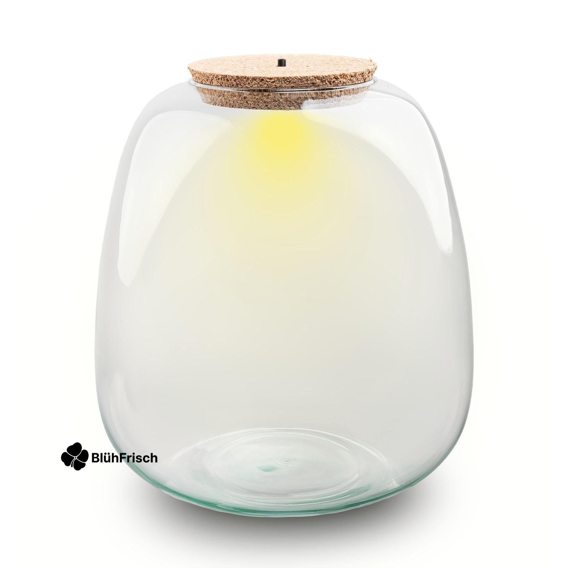 Terrarium fles - Model: Emma + led kurk - ↑ 25cm - Ø 23 cm