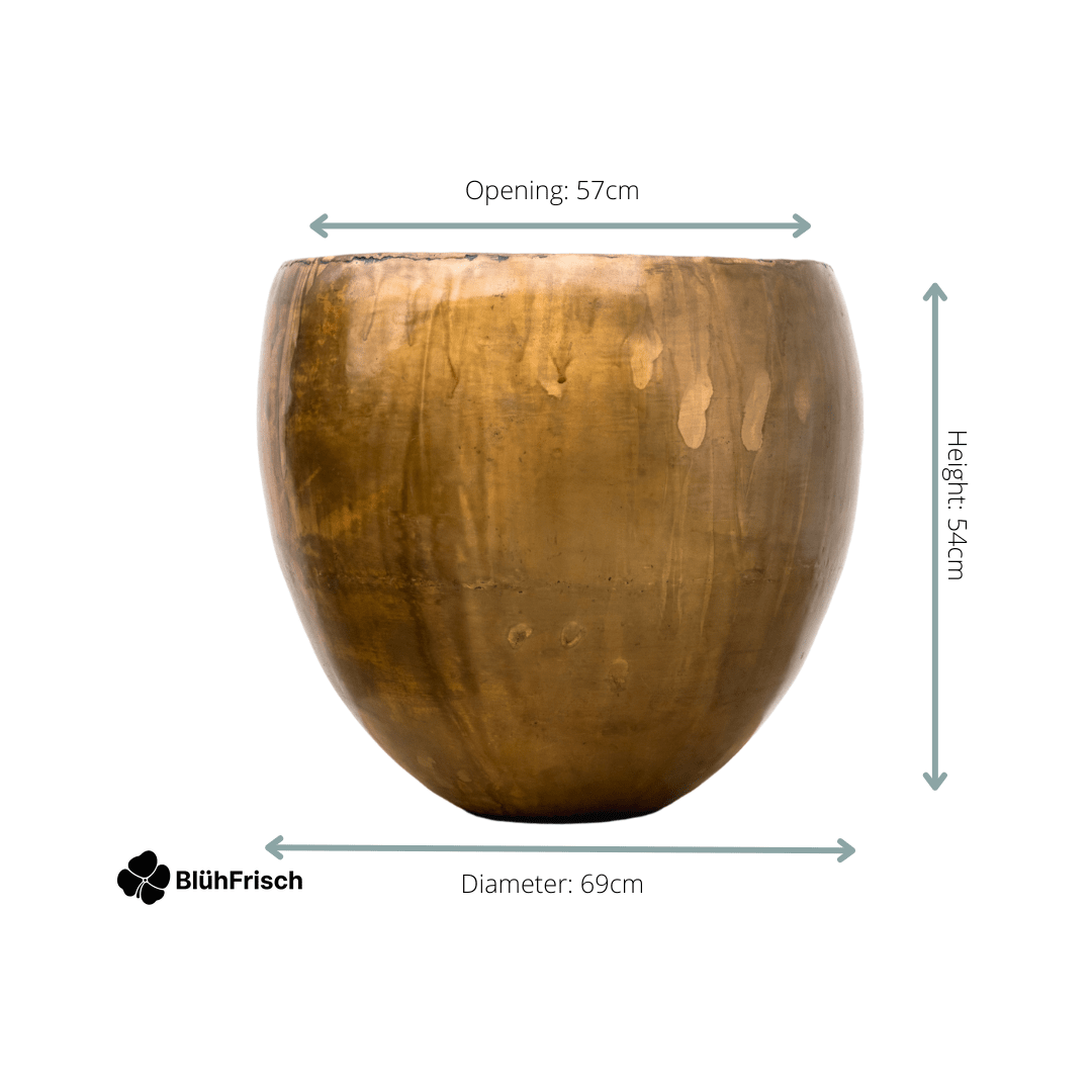 Pot Fabien Old Camel