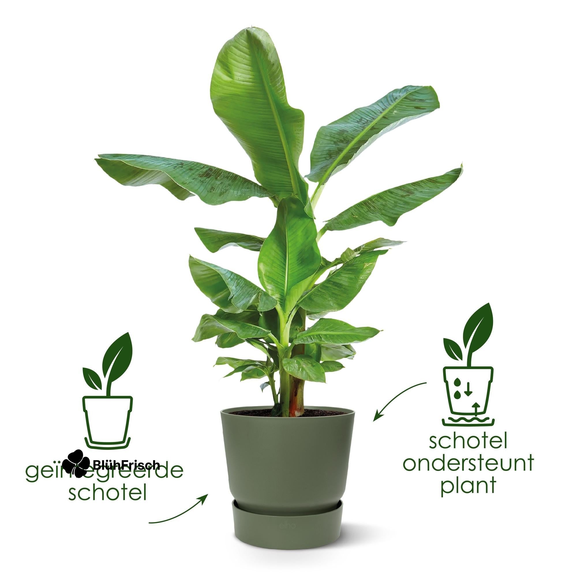 Pot elho Greenville Round zwart - D30 x H28