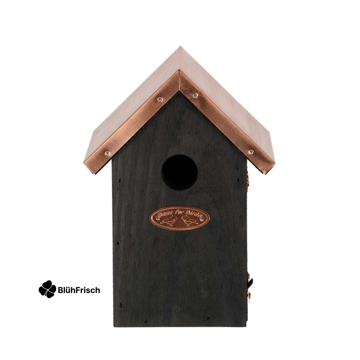 Vogelhuis Winterkoning - Nestkast Zwart koper