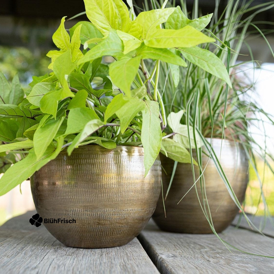 Set 5 Rowen aluminium Goudkleurig - Gold