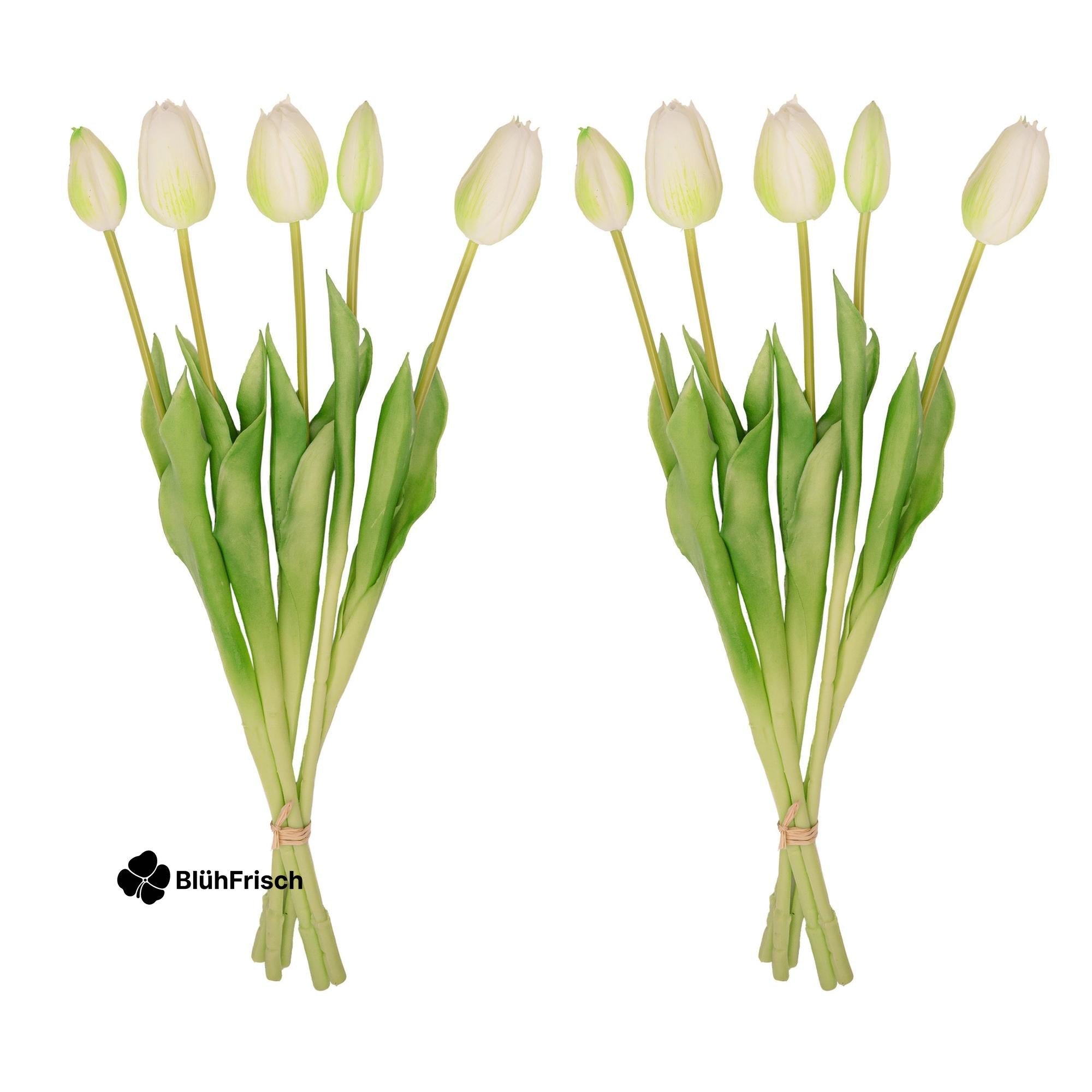 Vaas Lady Sunny + 10x real touch Tulpen wit/groen