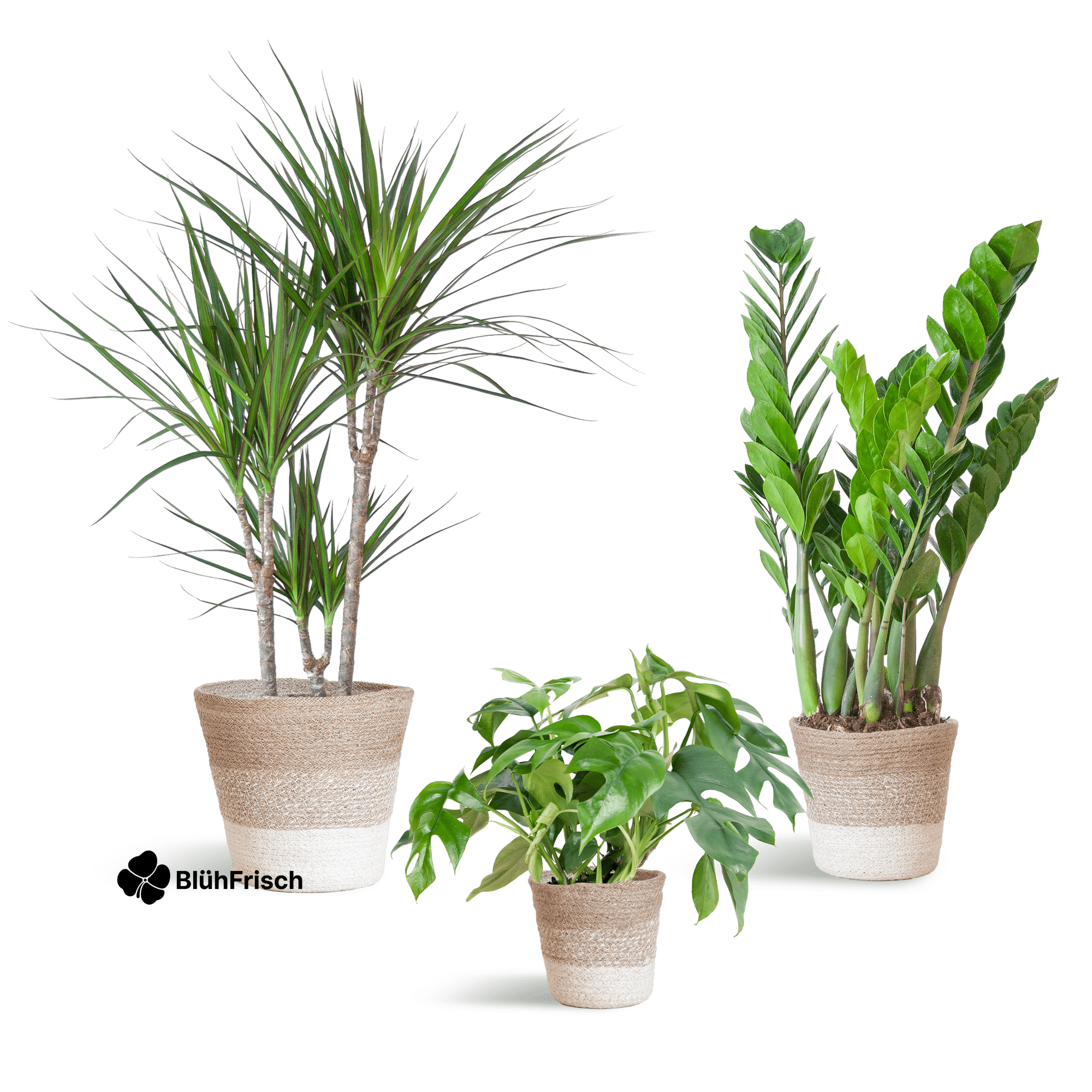 Shade Pflanzkasten - medium - mit Korb Lissabon weiß