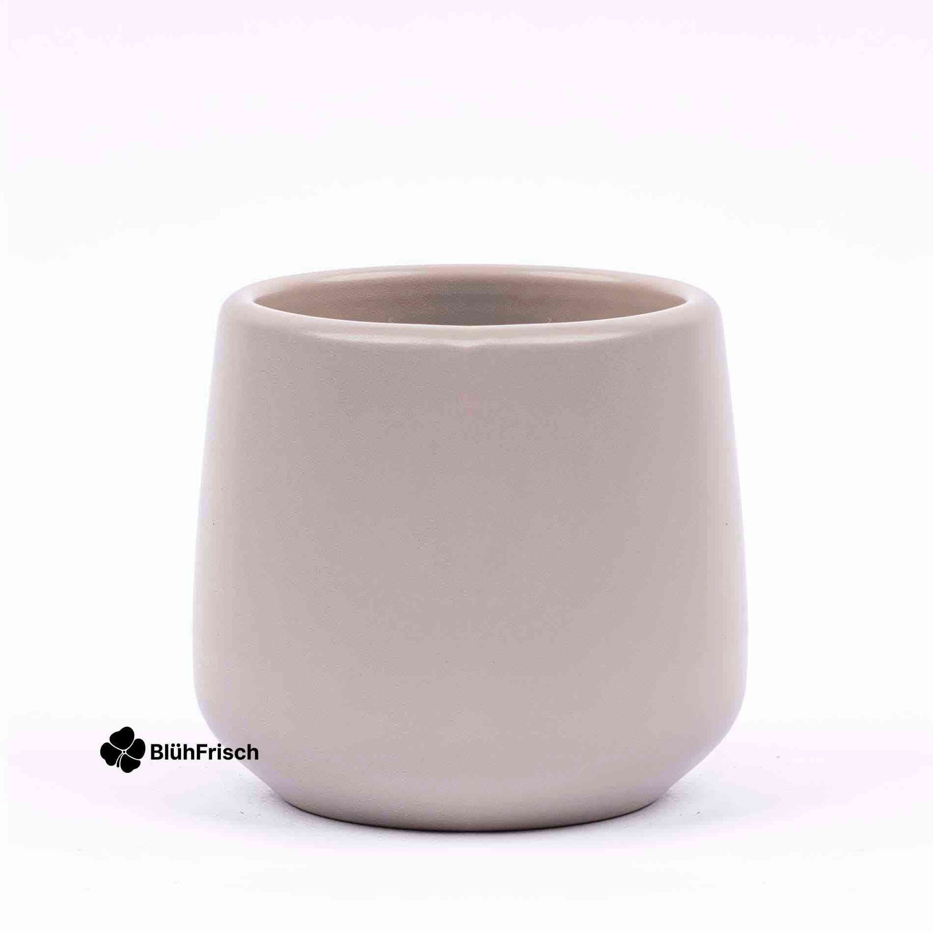 Mini planten set 6 - Inclusief 6x pot Joey grijs mat