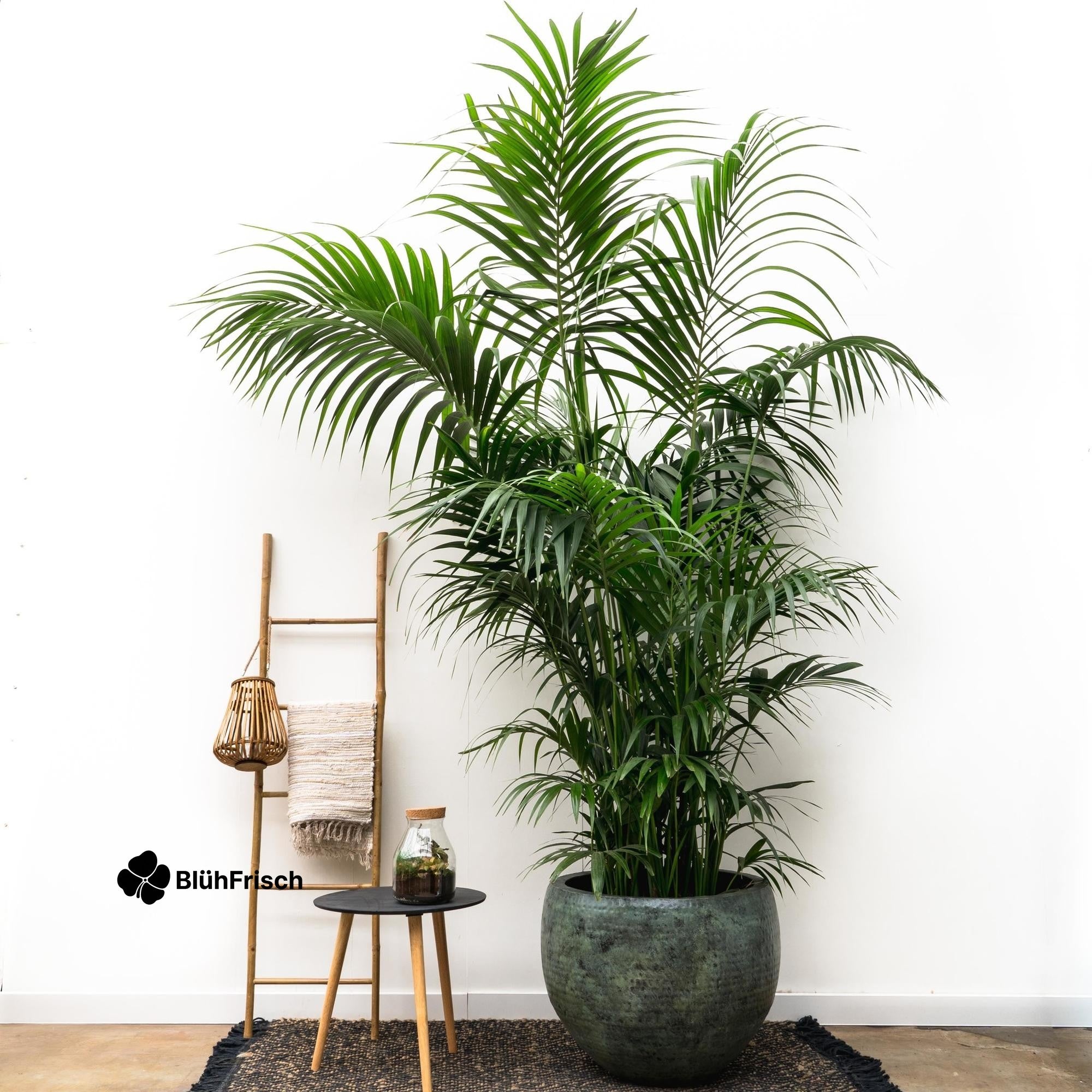 Pot Fabien Mystic Green