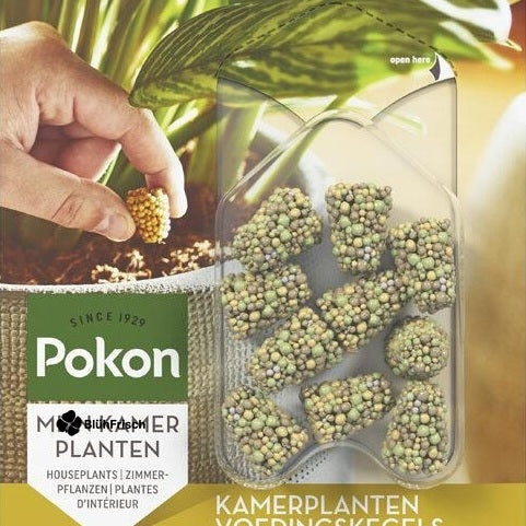 Zimmerpflanzen Futtertüten - 10 Stück