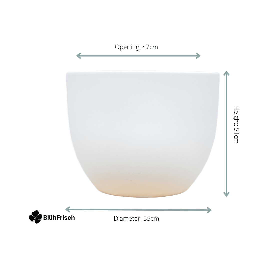 Pot Eggy Wit - D55 x H43