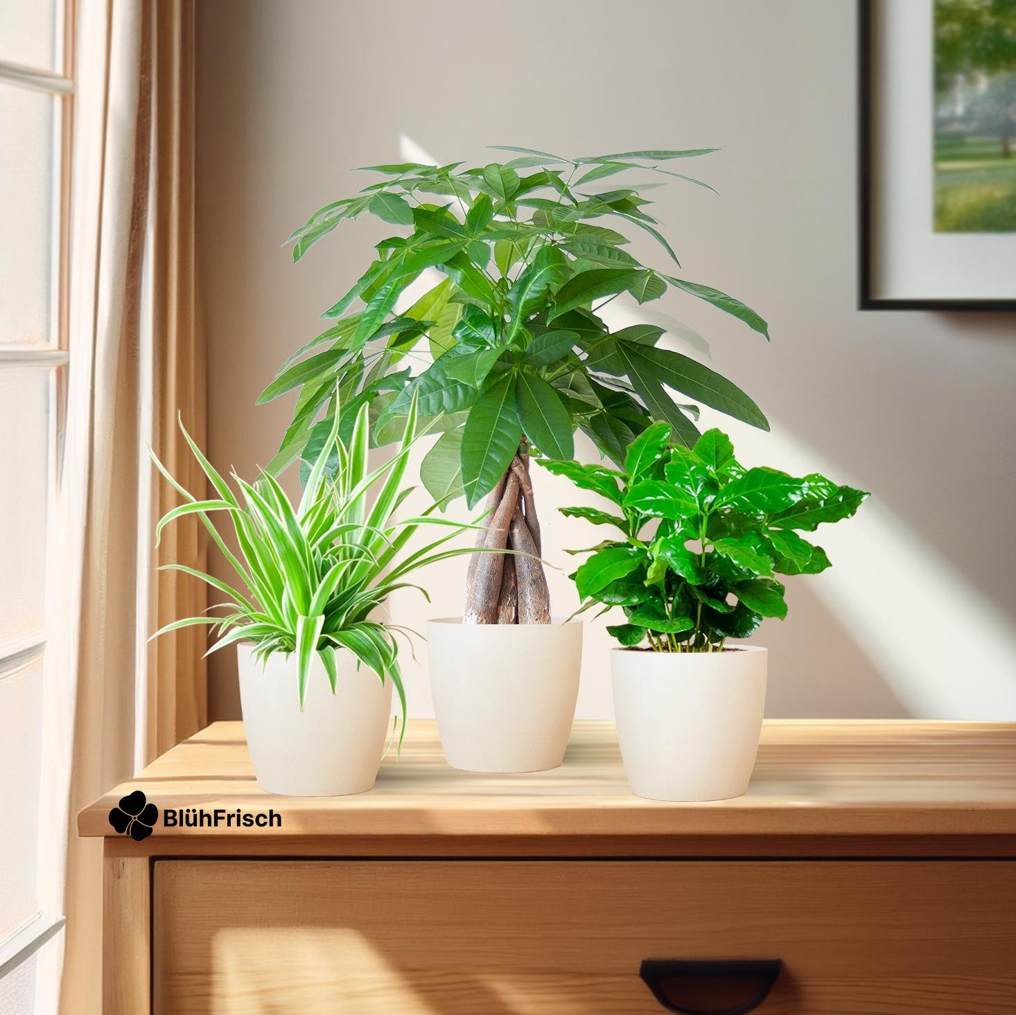 Tierfreundliche Pflanzbox - klein - mit topf Viber White - Ø12