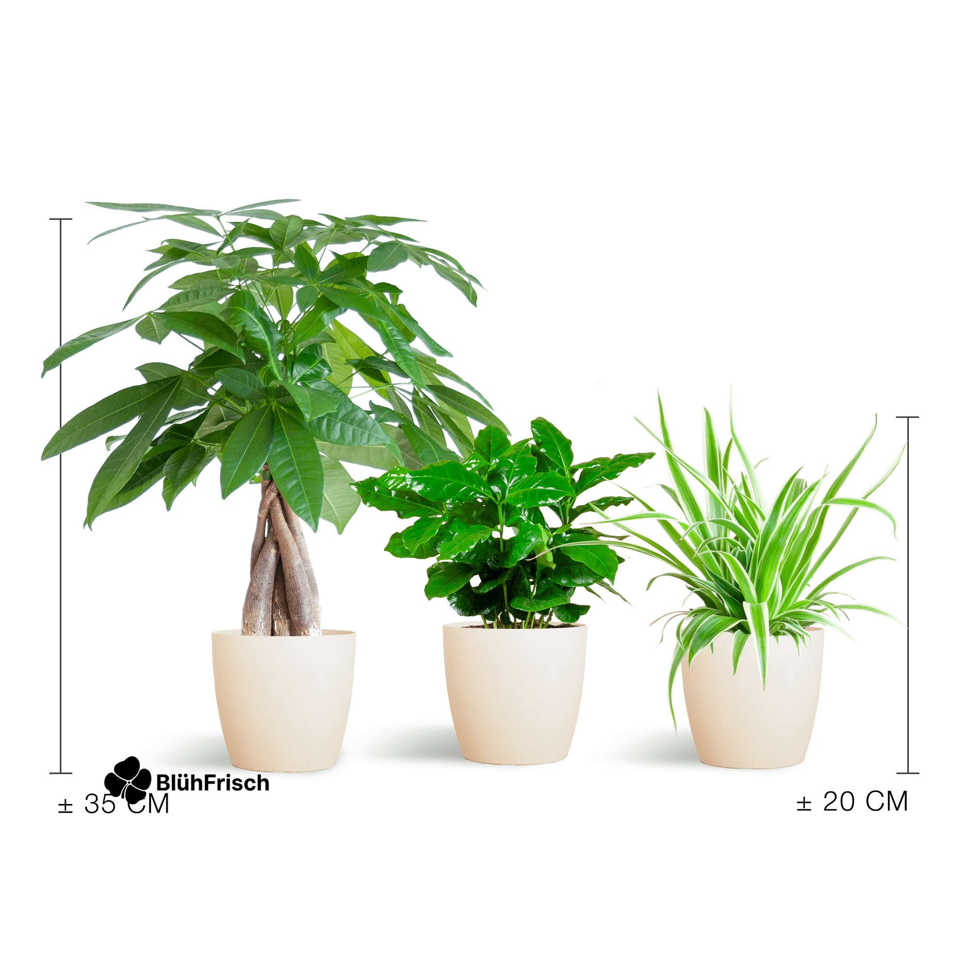 Tierfreundliche Pflanzbox - klein - mit topf Viber White - Ø12