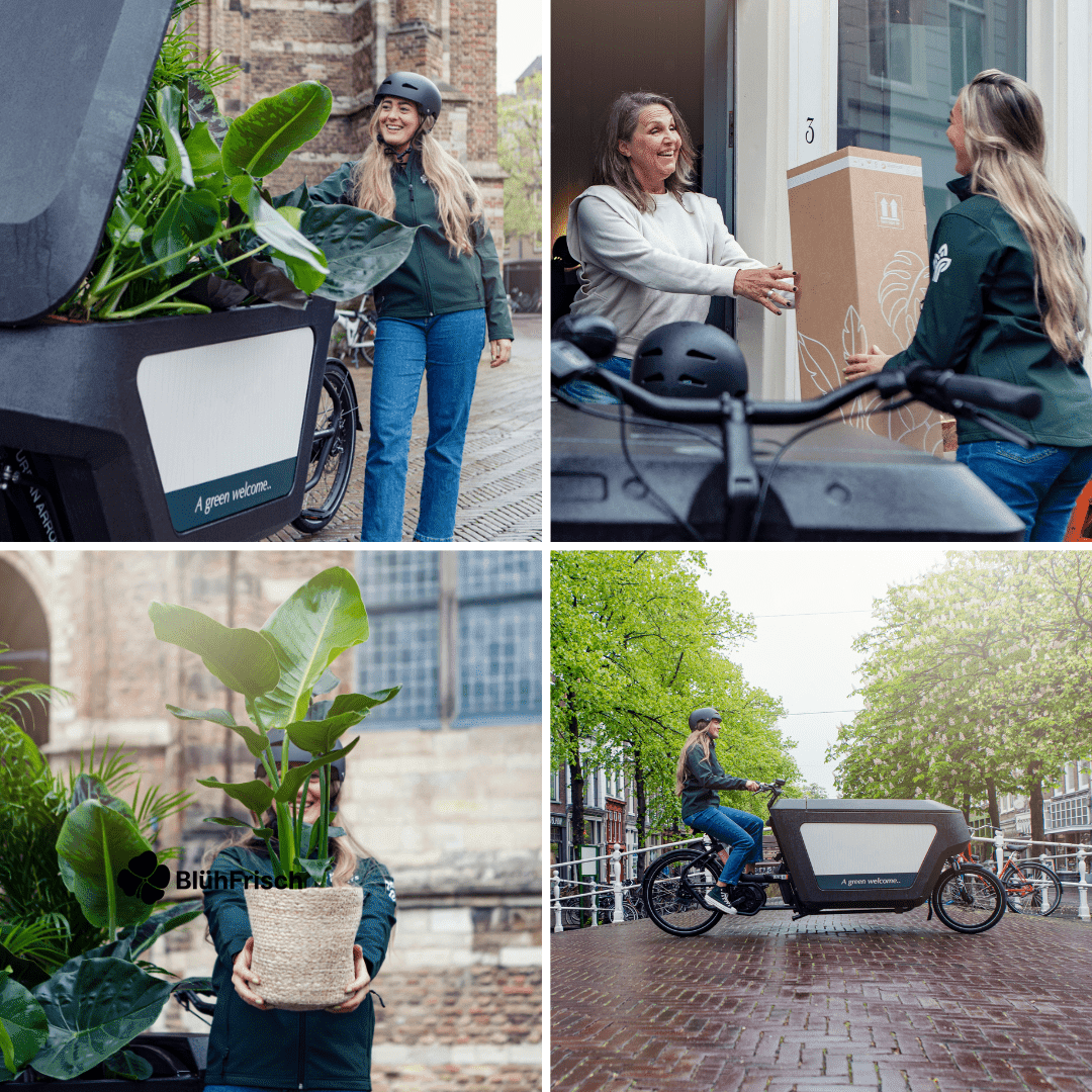 Gartenkräuter Mix - 4 Stücke - Ø14cm - ↕18cm