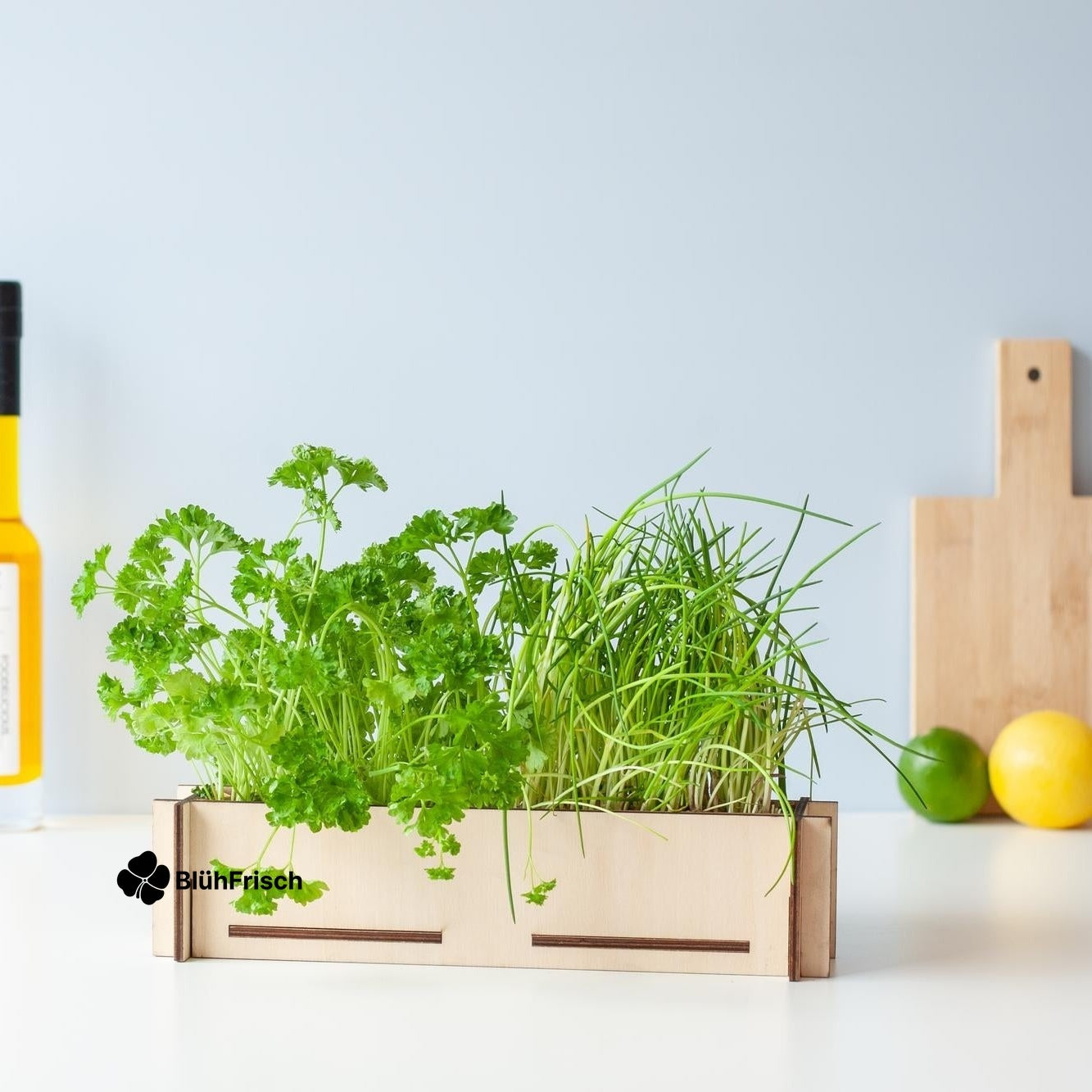 Kräuterpost - Petersiliensamen und Schnittlauchsamen, inkl. Anzuchttablett aus Holz