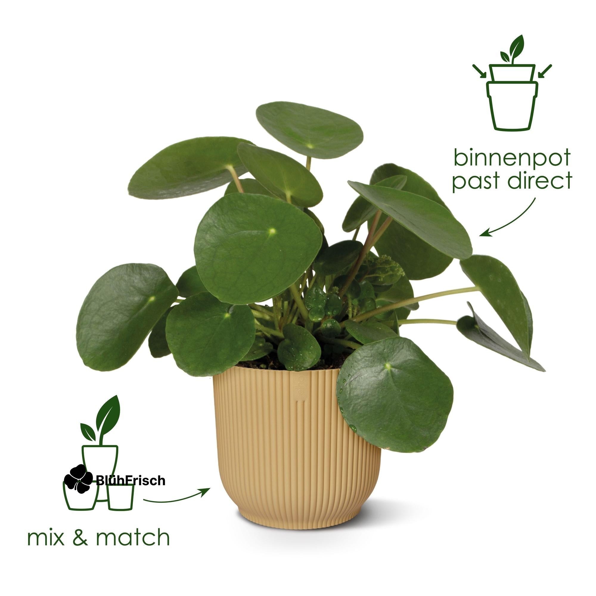 Pot elho Vibes Fold Round groen - D14 x H13