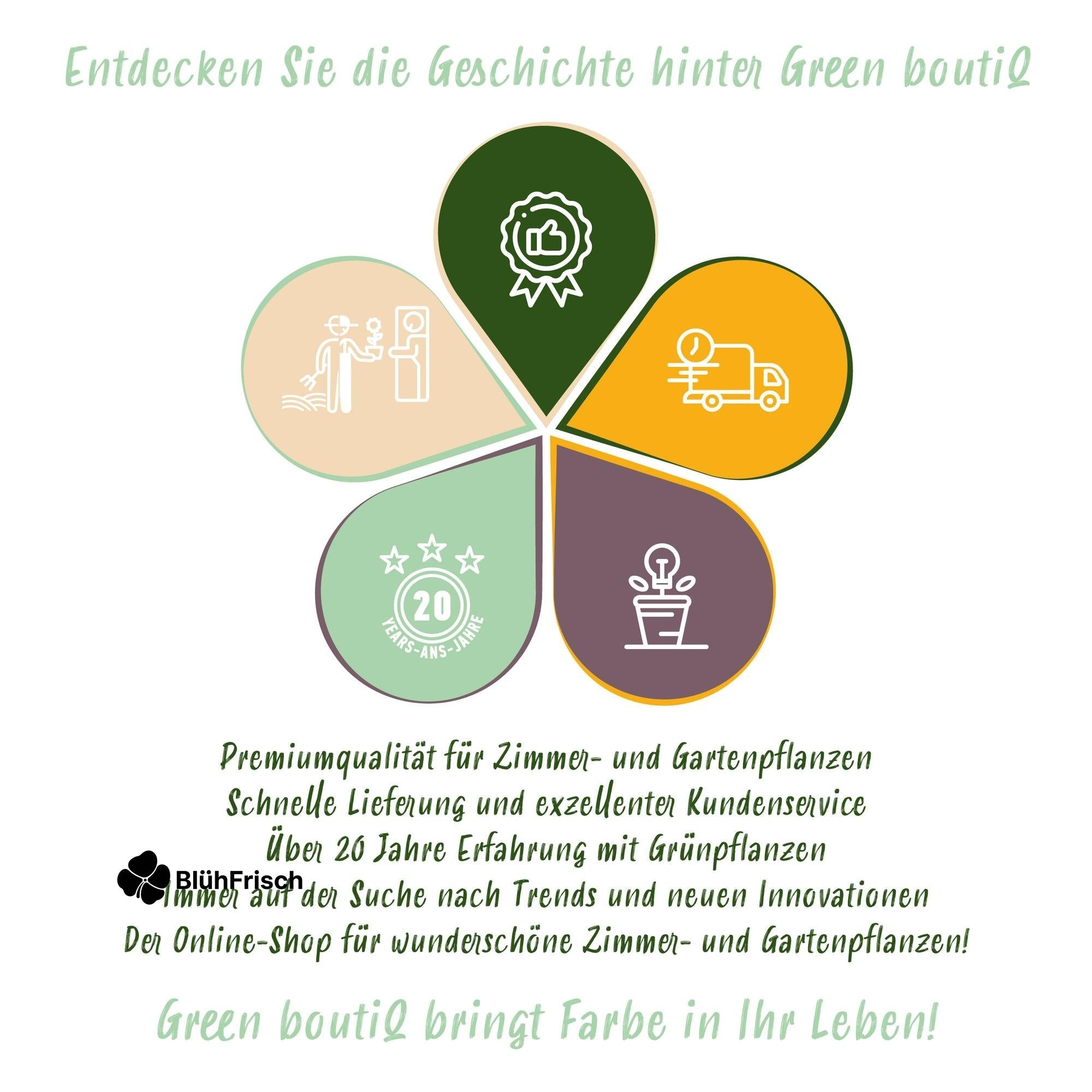 GreenboutiQ - Kräuter pakket - Kräutertee - 24 Stauden - Für 3 m2 - Verschiedene Farben - Wenig Pflege - Topf 11cm