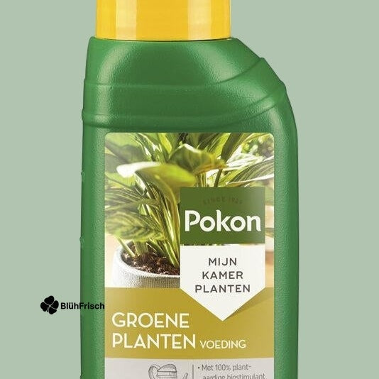 Grüne Pflanzennahrung - 250ML
