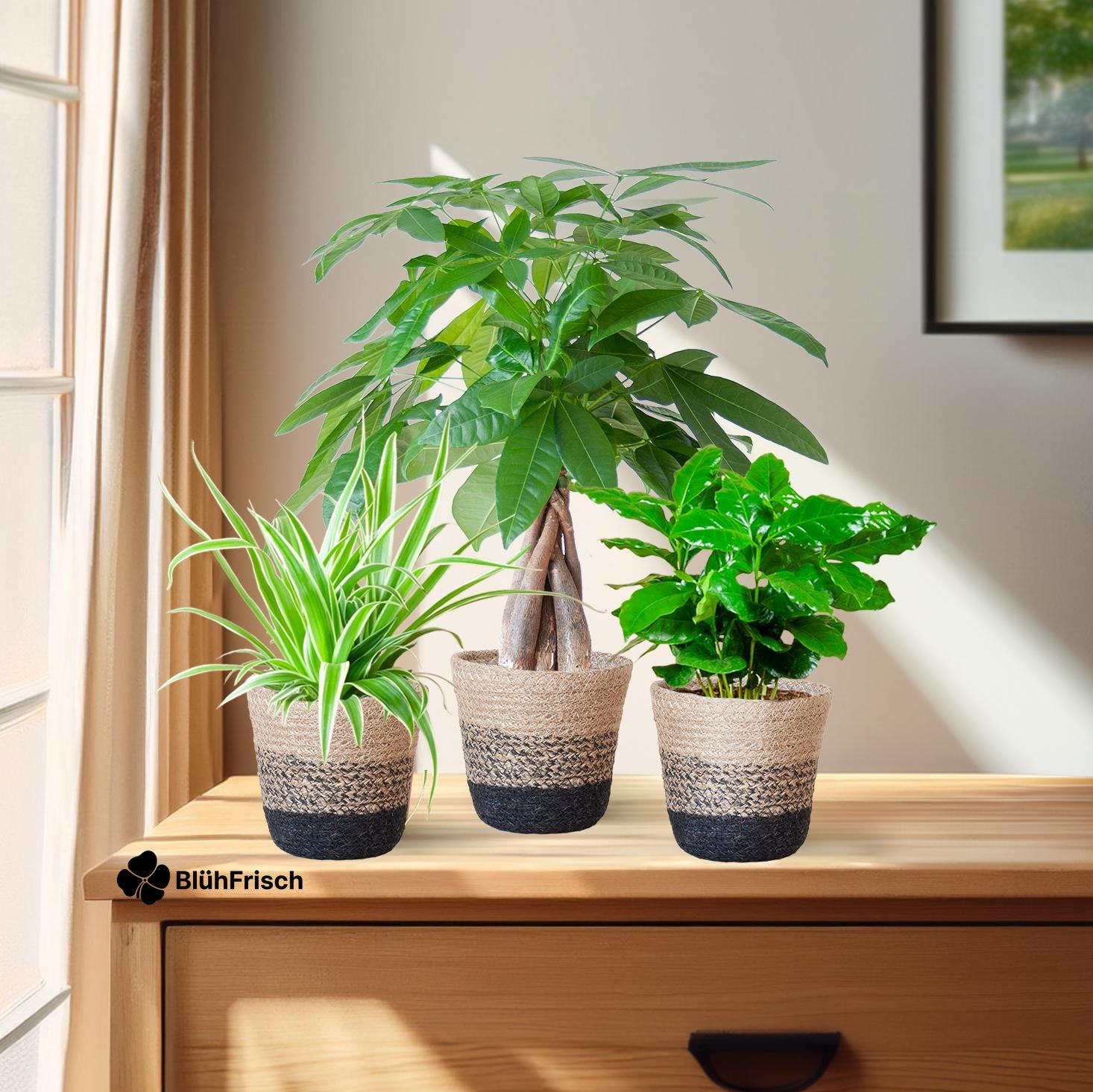 Tierfreundlicher Pflanzenkasten - klein - mit Korb Lissabon schwarz - Ø12